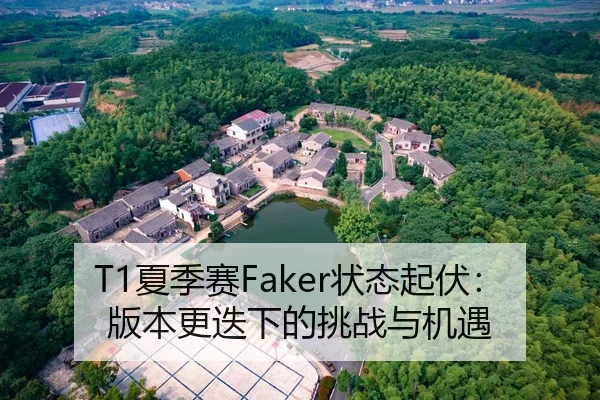 T1夏季赛Faker状态起伏：版本更迭下的挑战与机遇