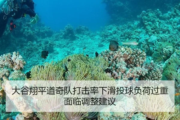 大谷翔平道奇队打击率下滑投球负荷过重面临调整建议