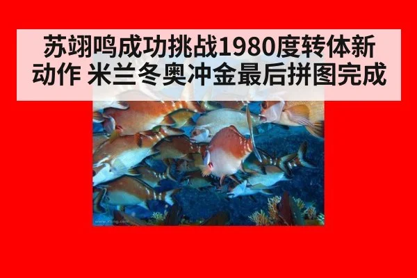 苏翊鸣成功挑战1980度转体新动作 米兰冬奥冲金最后拼图完成