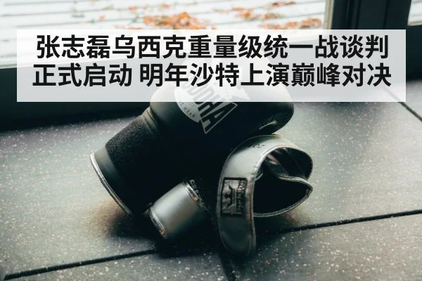 张志磊乌西克重量级统一战谈判正式启动 明年沙特上演巅峰对决